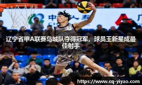 辽宁省甲A联赛岛城队夺得冠军，球员王新星成最佳射手