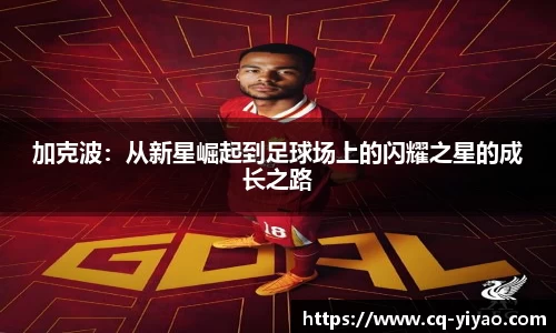 加克波：从新星崛起到足球场上的闪耀之星的成长之路