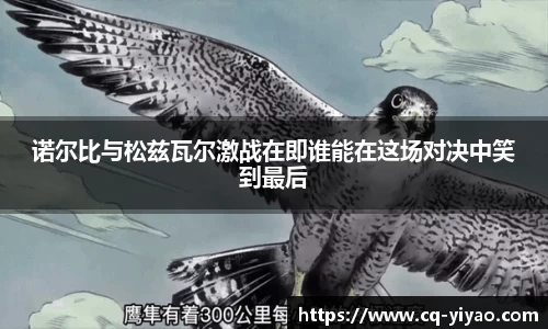 诺尔比与松兹瓦尔激战在即谁能在这场对决中笑到最后