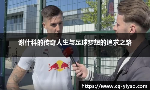谢什科的传奇人生与足球梦想的追求之路