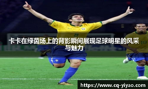 卡卡在绿茵场上的背影瞬间展现足球明星的风采与魅力